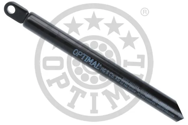 Gas Spring, boot/cargo area