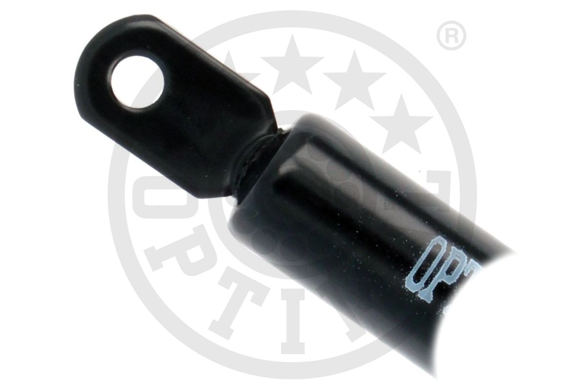 Gas Spring, boot/cargo area