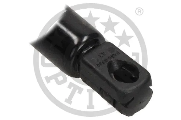 Gas Spring, boot/cargo area