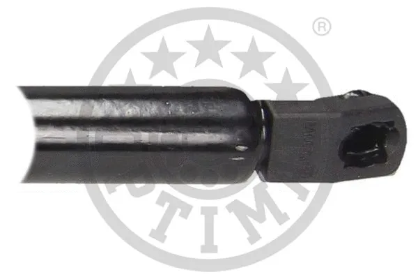 Gas Spring, boot/cargo area