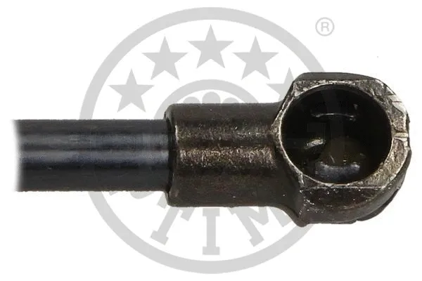 Gas Spring, boot/cargo area