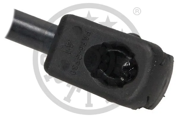 Gas Spring, boot/cargo area