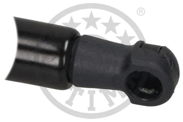 Gas Spring, boot/cargo area