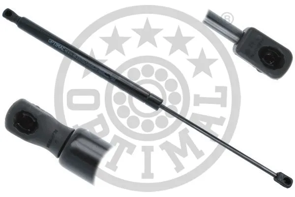 Gas Spring, boot/cargo area (AG-51079)