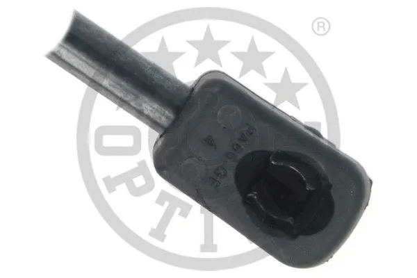 Gas Spring, boot/cargo area