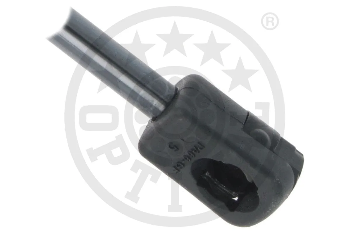 Gas Spring, boot/cargo area