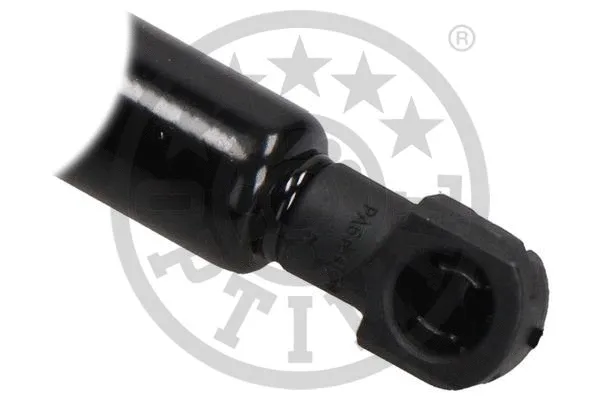 Gas Spring, boot/cargo area