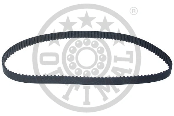 Timing Belt (R-1319)