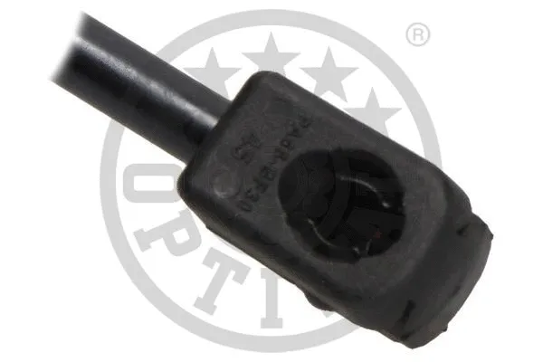 Gas Spring, boot/cargo area