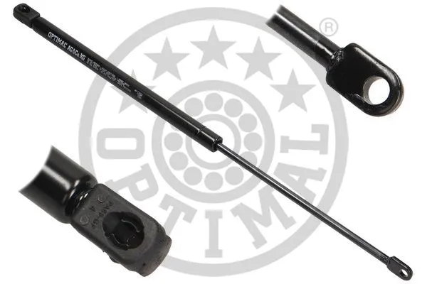 Gas Spring, boot/cargo area (AG-17422)