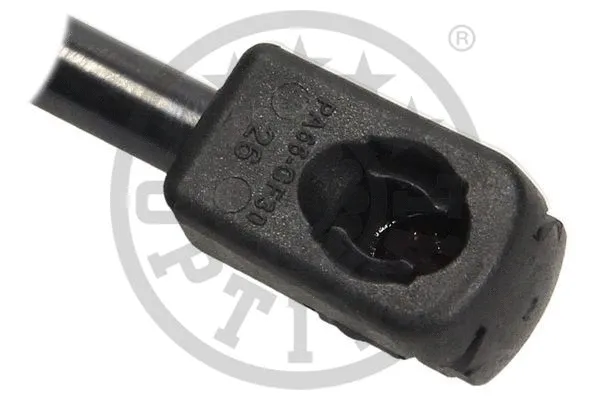 Gas Spring, boot/cargo area