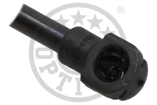 Gas Spring, boot/cargo area