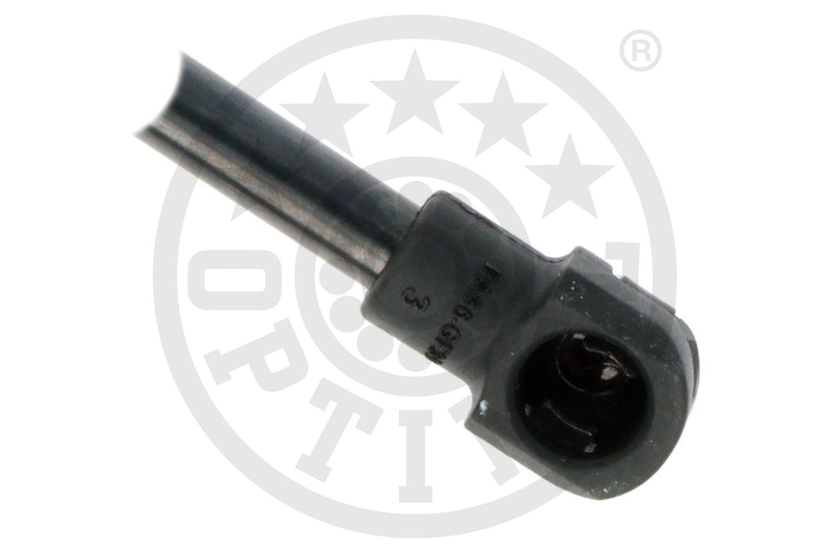 Gas Spring, boot/cargo area