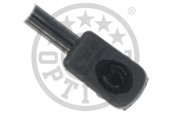 Gas Spring, boot/cargo area