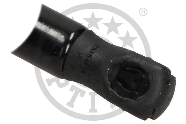 Gas Spring, boot/cargo area