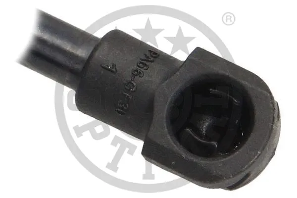 Gas Spring, boot/cargo area