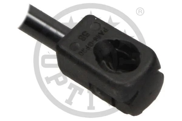 Gas Spring, boot/cargo area