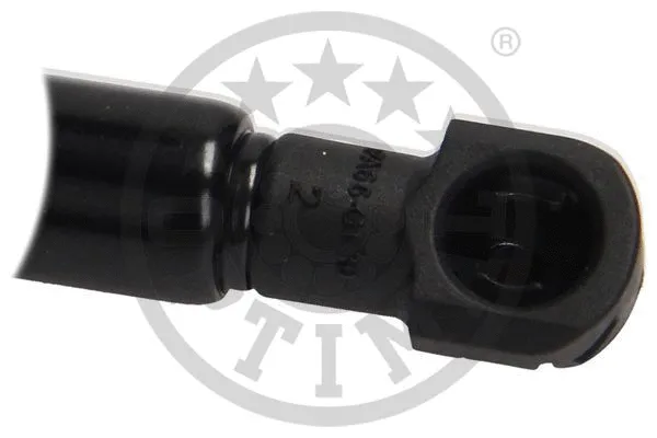 Gas Spring, boot/cargo area