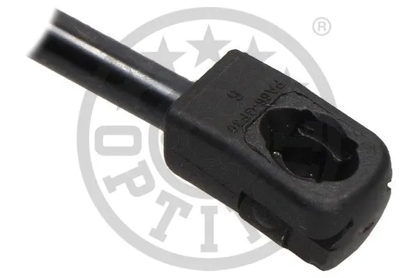 Gas Spring, boot/cargo area