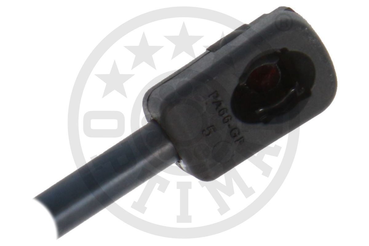 Gas Spring, boot/cargo area