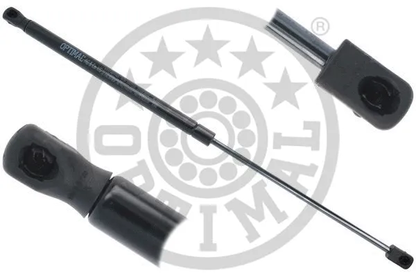 Gas Spring, boot/cargo area (AG-51020)