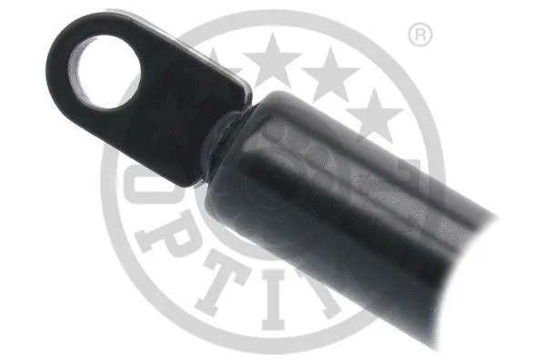 Gas Spring, boot/cargo area