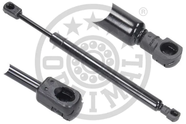 Gas Spring, boot/cargo area (AG-40159)