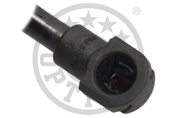 Gas Spring, boot/cargo area