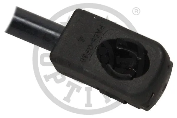 Gas Spring, boot/cargo area