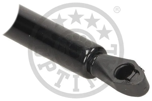 Gas Spring, boot/cargo area