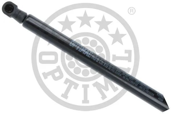 Gas Spring, boot/cargo area