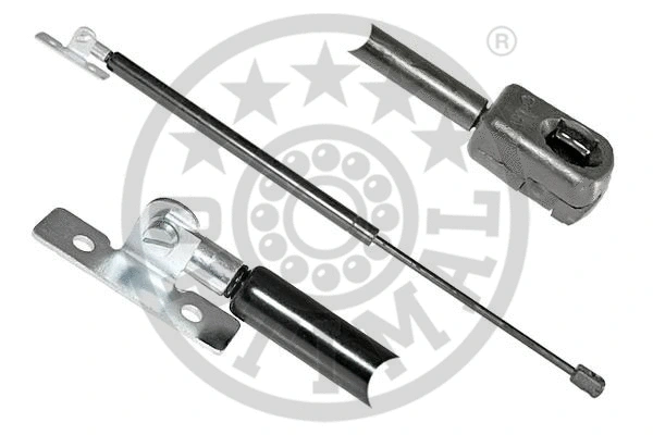 Gas Spring, bonnet (AG-39019)