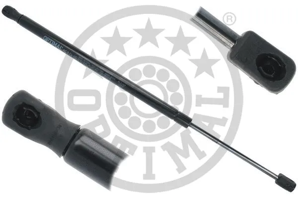 Gas Spring, boot/cargo area (AG-51469)