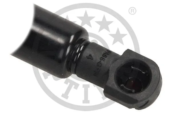 Gas Spring, boot/cargo area