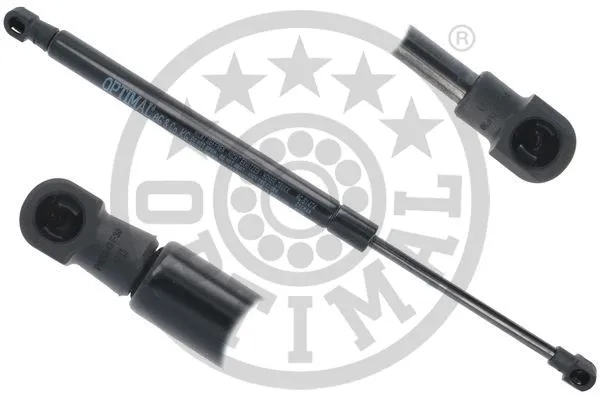 Gas Spring, boot/cargo area (AG-51474)