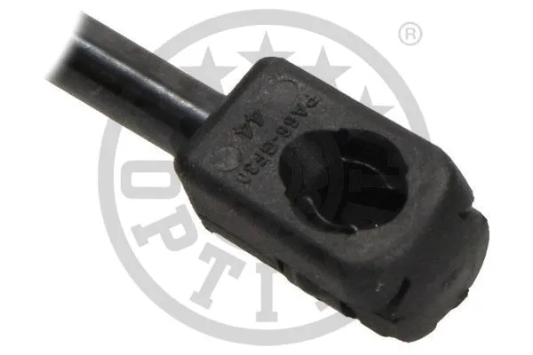 Gas Spring, boot/cargo area