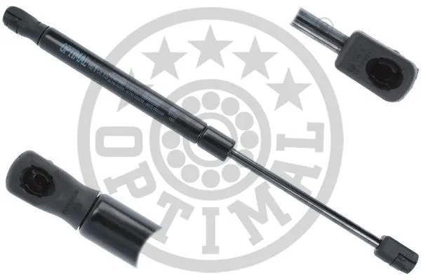 Gas Spring, boot/cargo area (AG-50484)