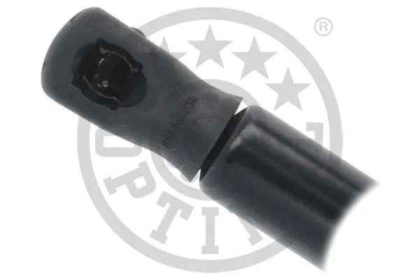 Gas Spring, boot/cargo area