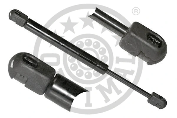 Gas Spring, boot/cargo area (AG-17464)