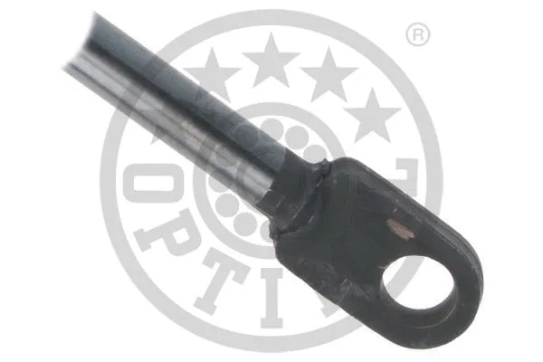 Gas Spring, boot/cargo area