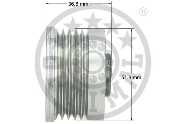 Alternator Freewheel Clutch