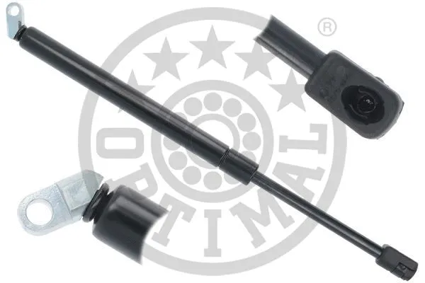 Gas Spring, boot/cargo area (AG-51802)