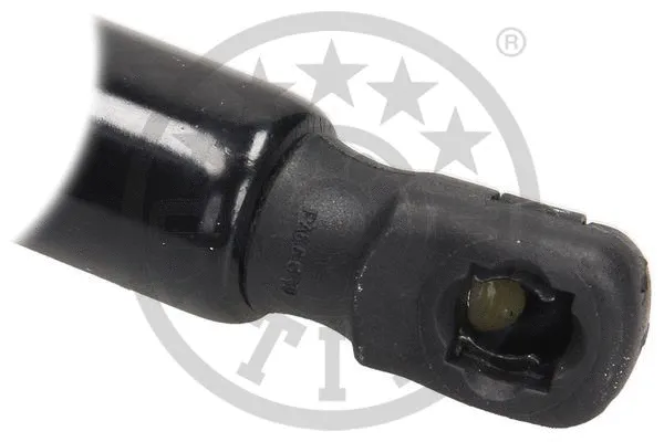 Gas Spring, boot/cargo area