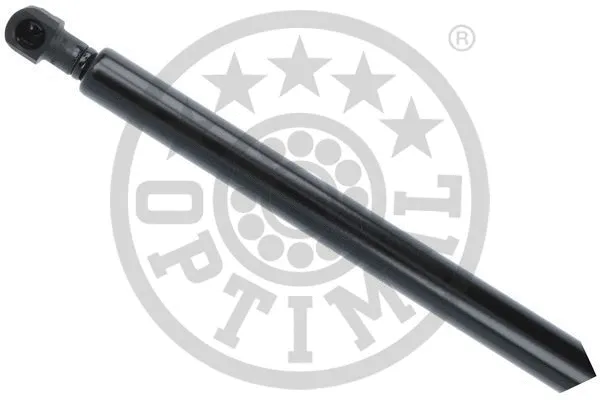 Gas Spring, boot/cargo area
