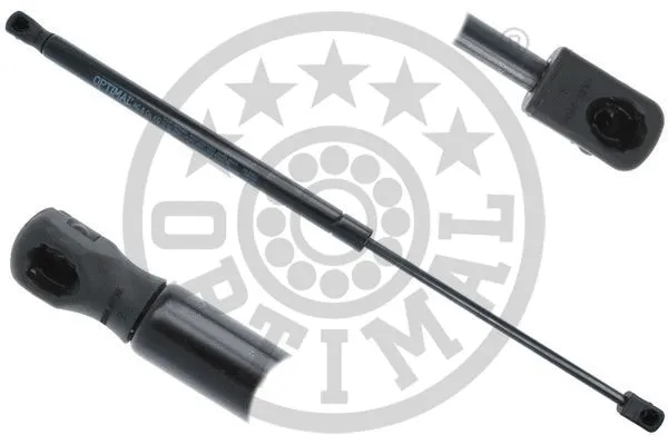 Gas Spring, boot/cargo area (AG-50631)