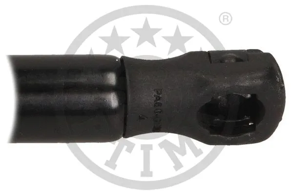 Gas Spring, bonnet
