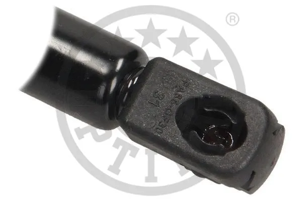 Gas Spring, boot/cargo area