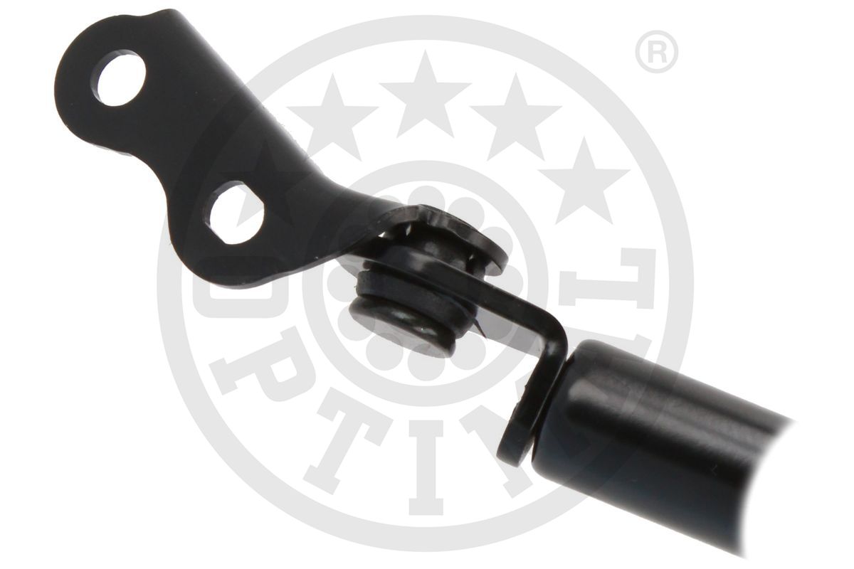 Gas Spring, boot/cargo area