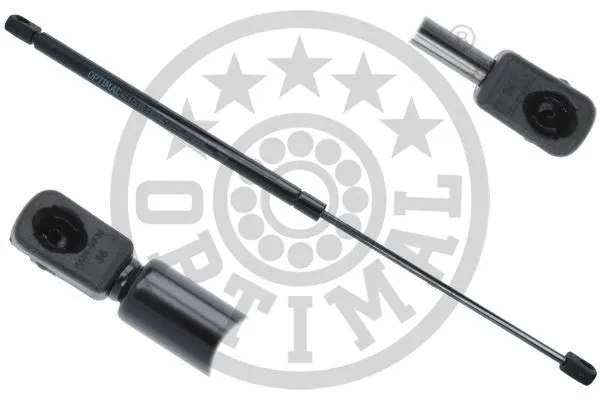 Gas Spring, boot/cargo area (AG-51346)
