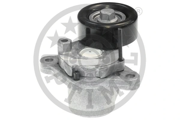 Tensioner Lever, V-ribbed belt (0-N1813)